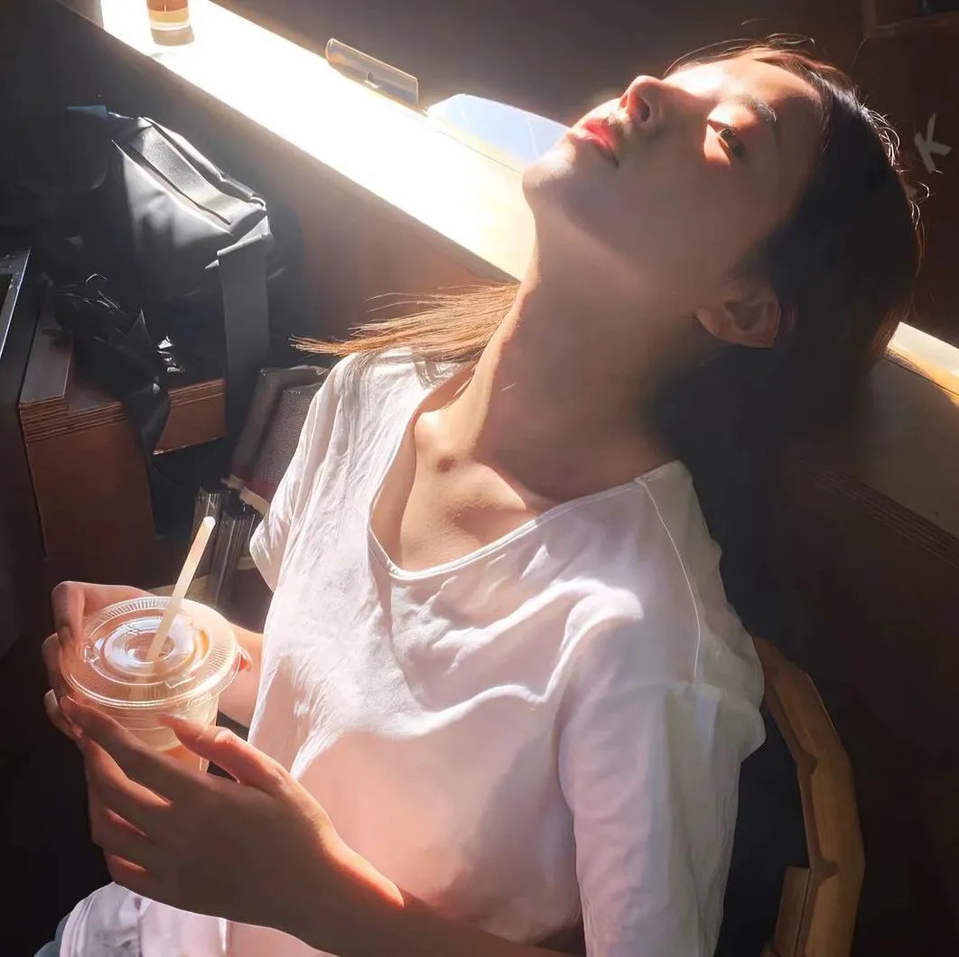 虚假的借口封面