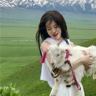 西部之恋封面
