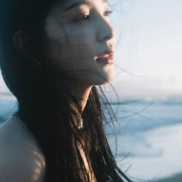 飞鱼封面
